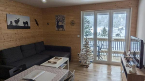 Appartement 3 étoiles, meublé, 45m2, station, fibre, Netflix, Disney plus, garage